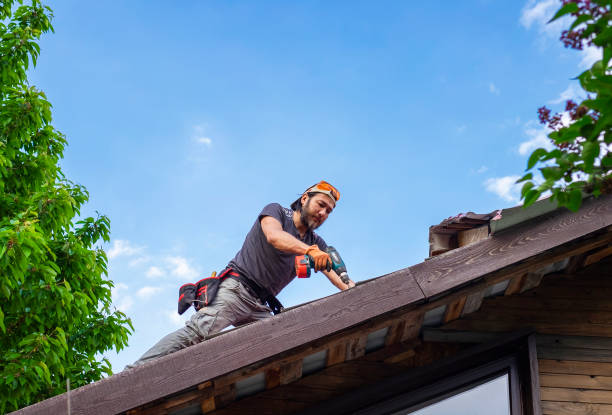 Best Roof Moss and Algae Removal  in Escanaba, MI