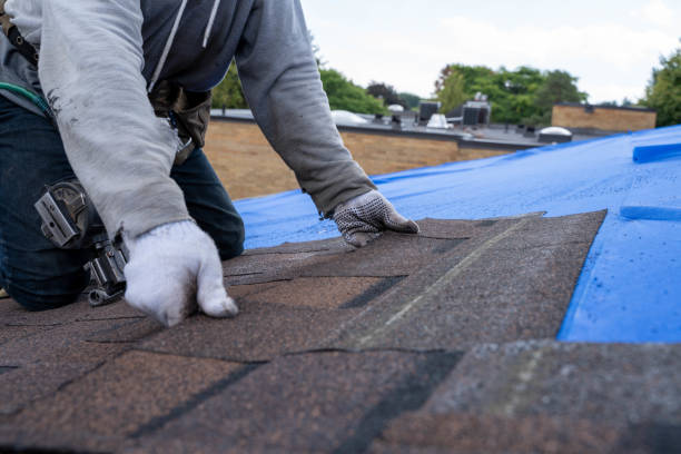 Best Roof Restoration  in Escanaba, MI